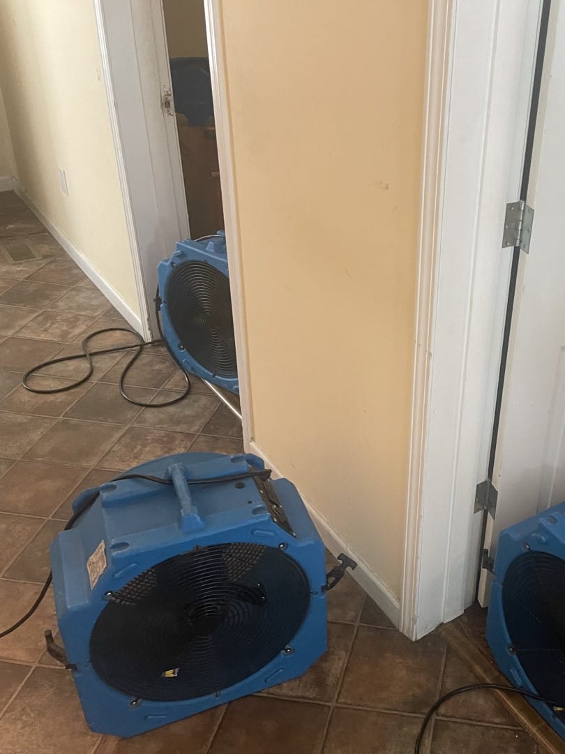 Nashville Bed Bug Heat Treatment