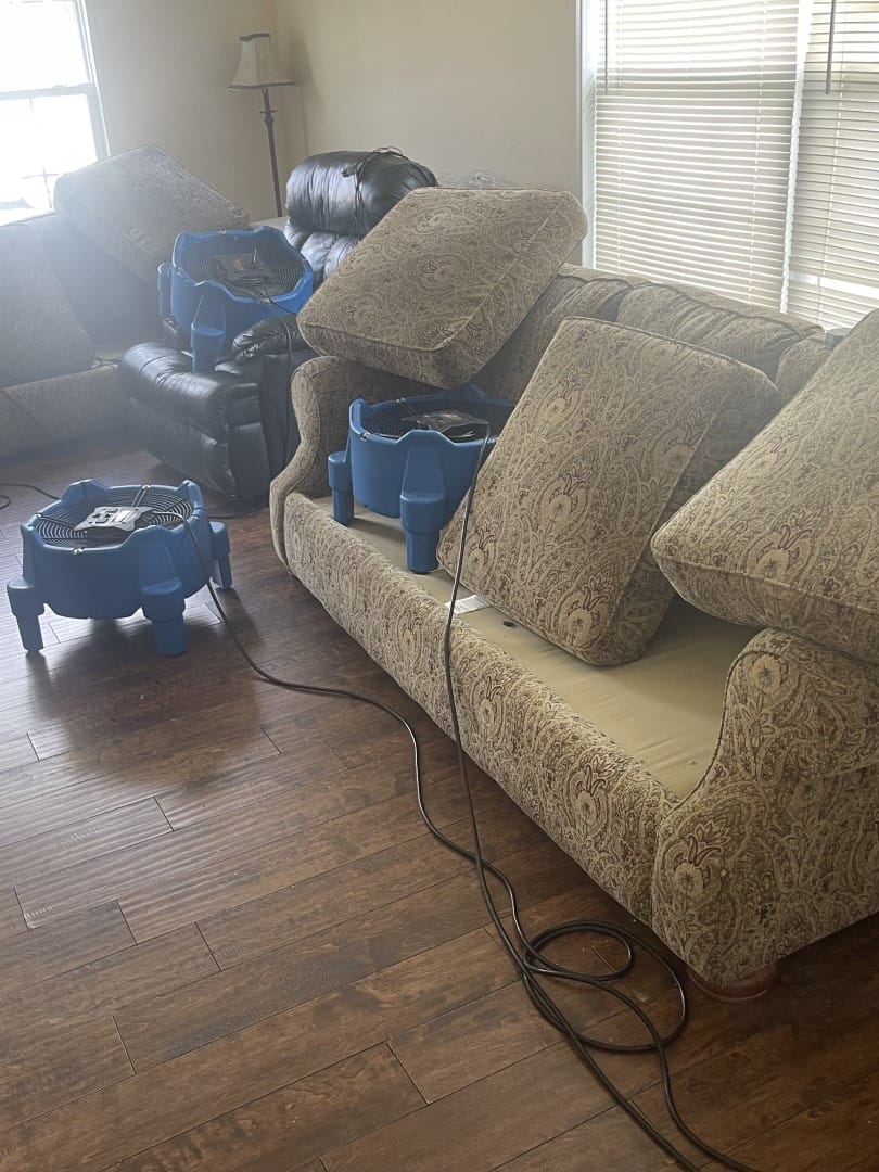 bed bug heat treatment Nashville TN