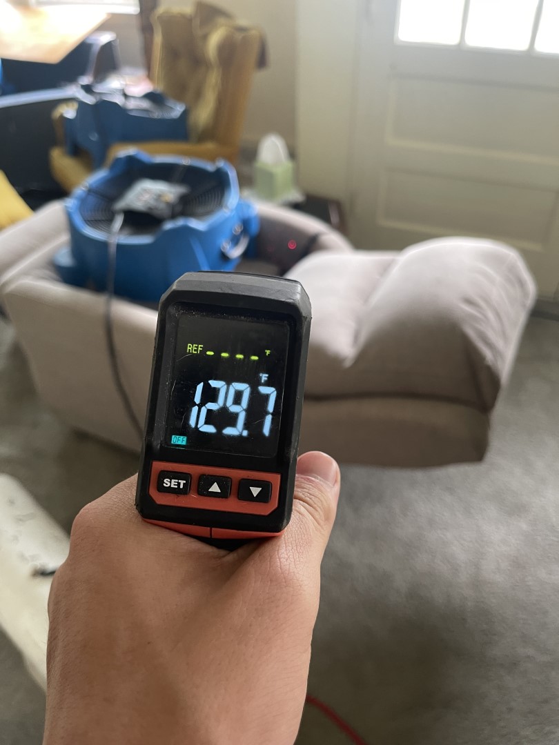 bed bug heat treatment thermal scan Nashville TN