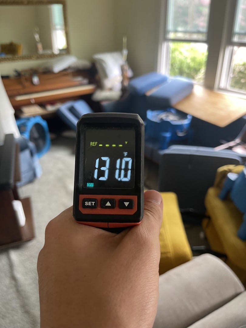 bed bug heat treatment thermal scan Nashville TN